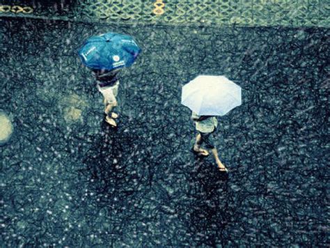 夢見下雨天|夢見下雨